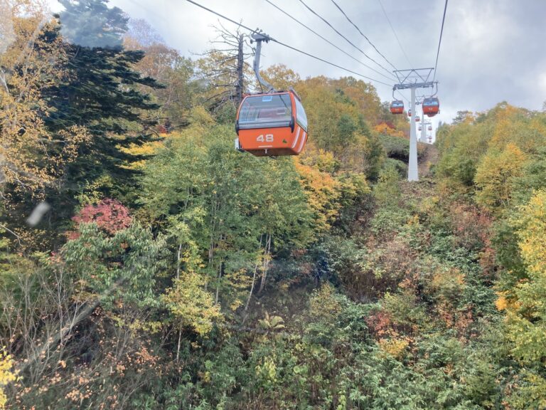 Ropeway and Gondola (IELTS Task2)