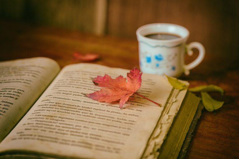 Which BookClubs is the Best? (Free Essay)